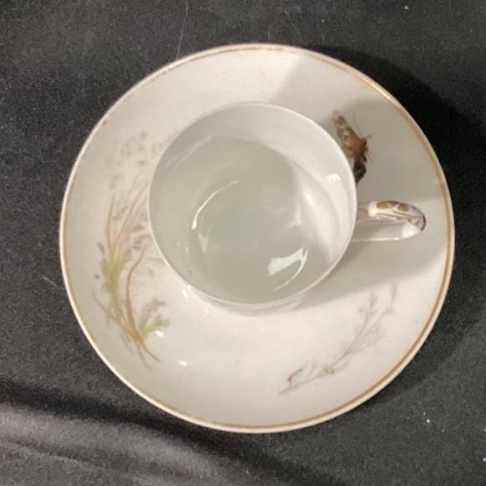 Haviland Limoges Meadow Visitors Teacup & Saucer, Two Piece Set Butterfly Design - Picture 4 of 17